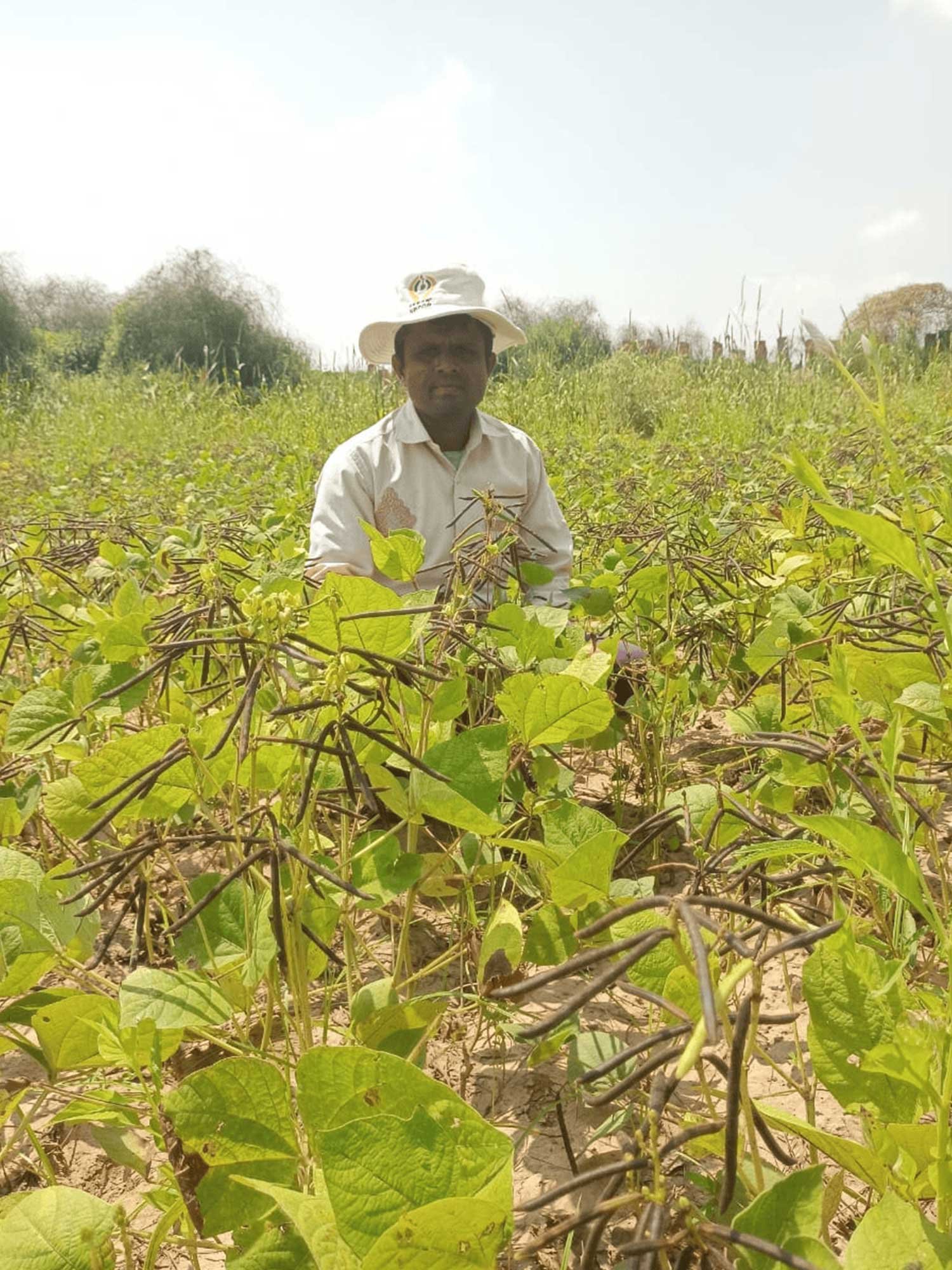 OrganicFarming7
