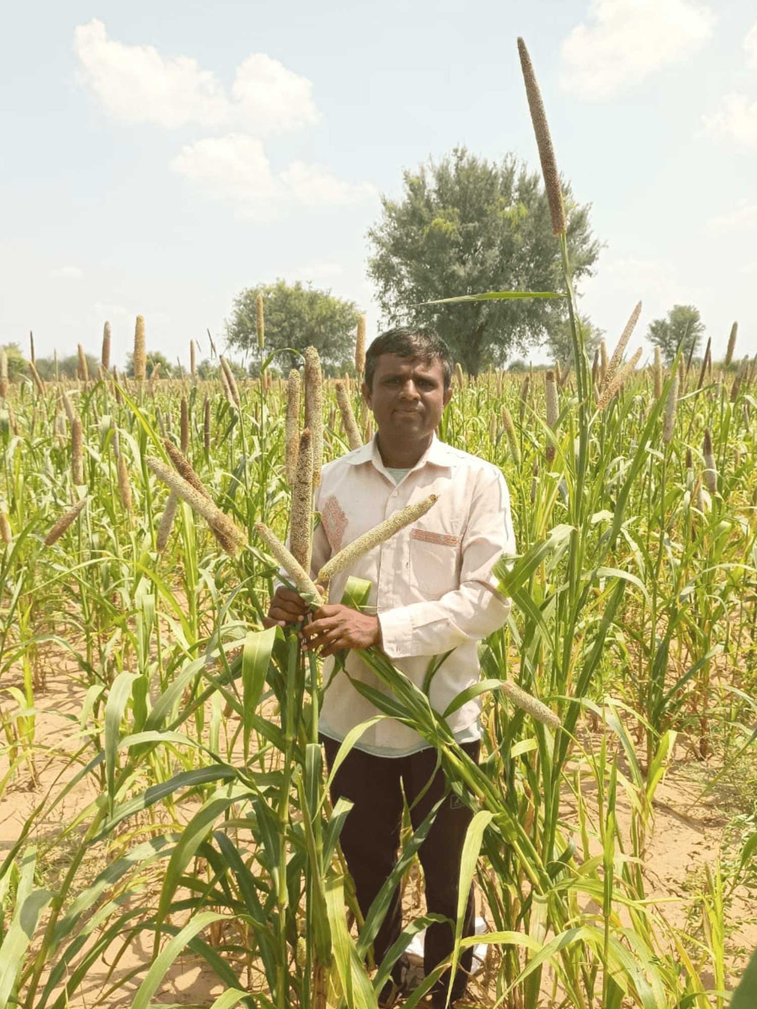 OrganicFarming9