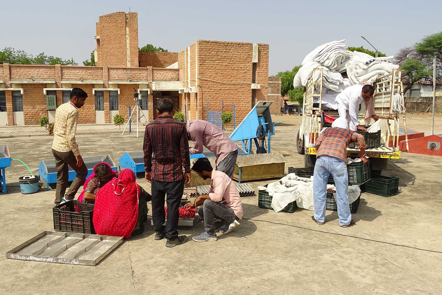 PostHarvest2