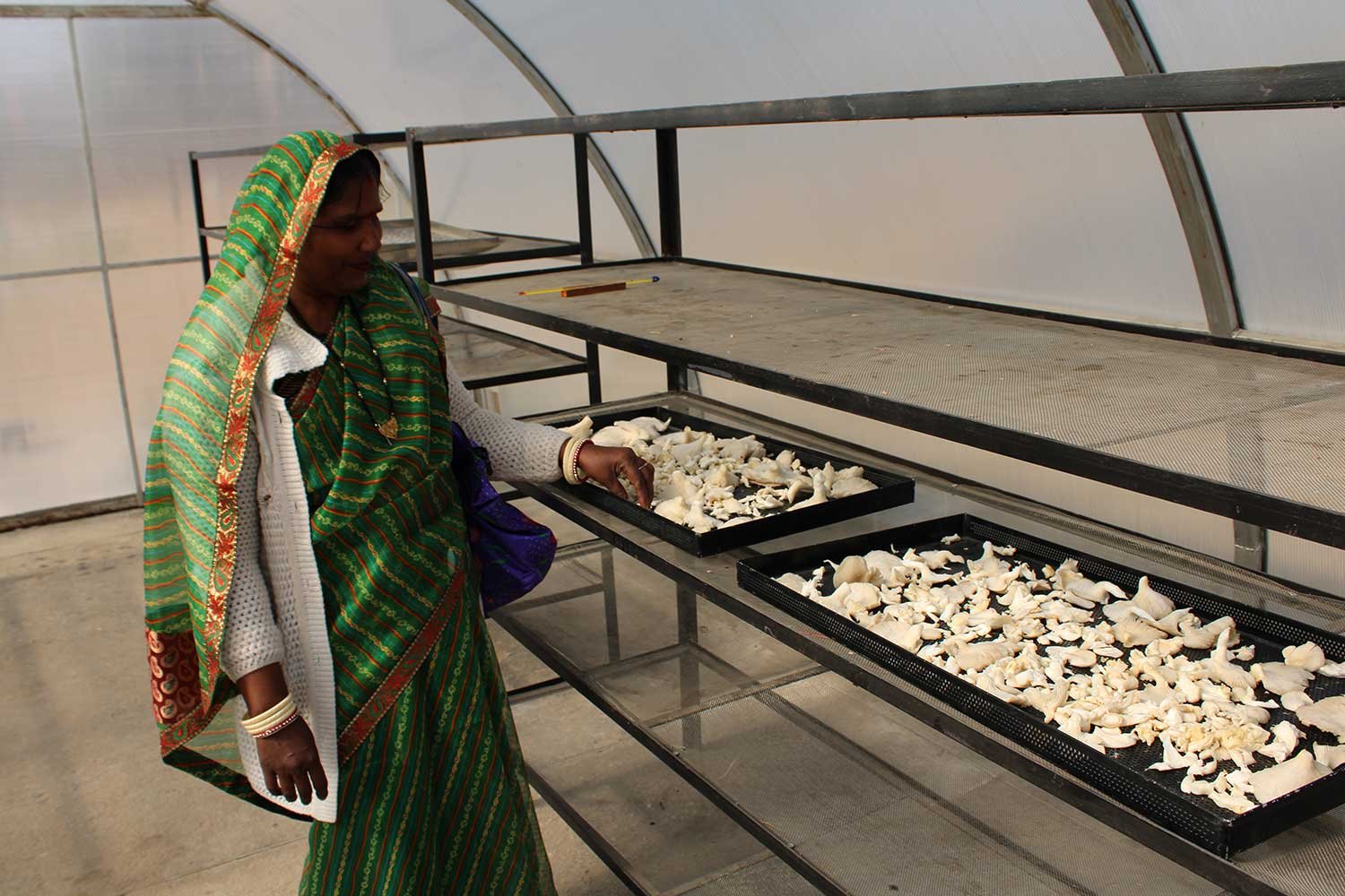 PostHarvest7