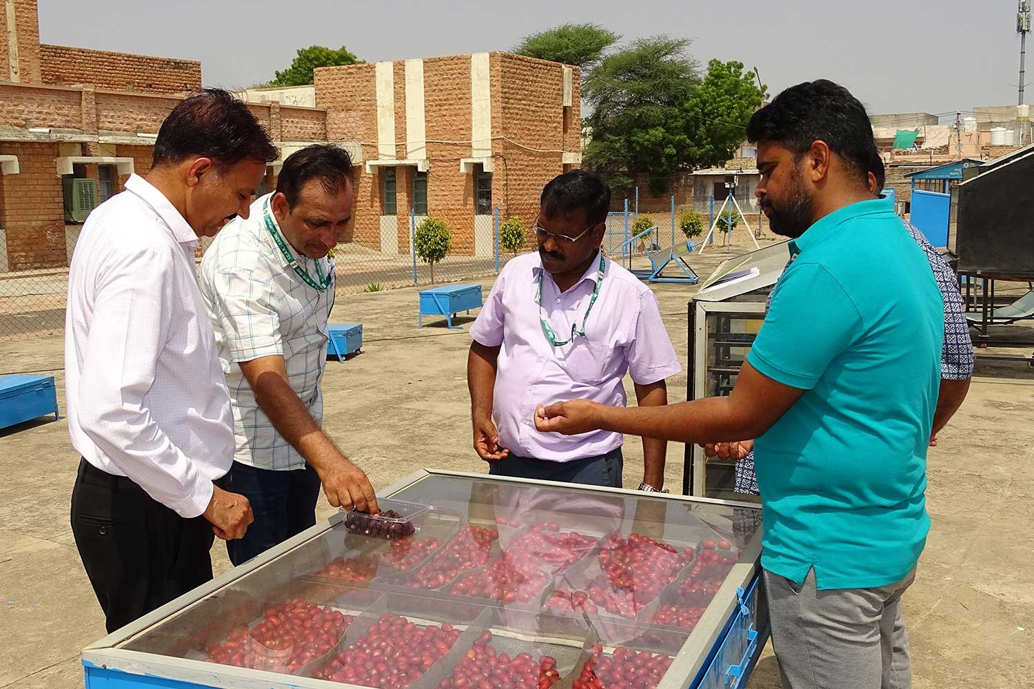 PostHarvest8