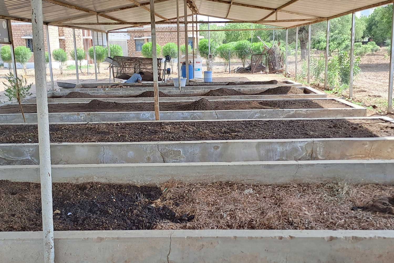 VermiCompost1
